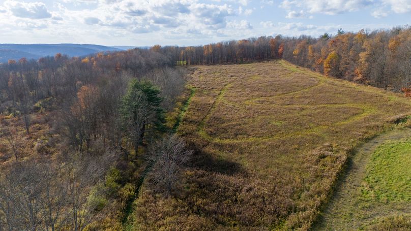 DJI_20231027151312_0468_D-HDR