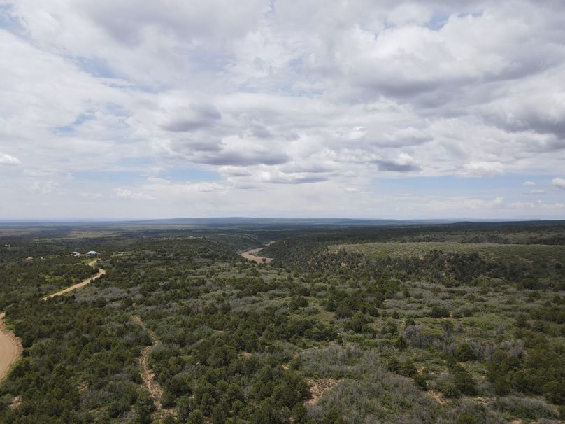 dji_export_1685968245934