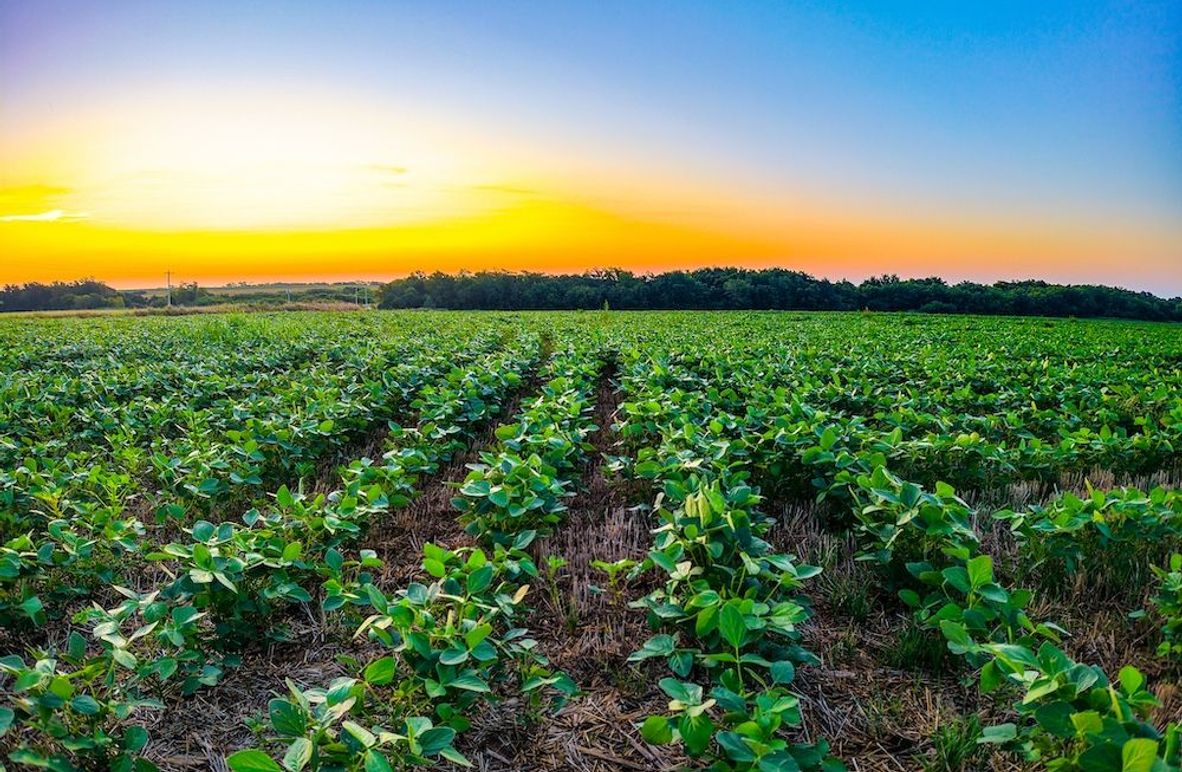 DJI_20250816063516_0668_D