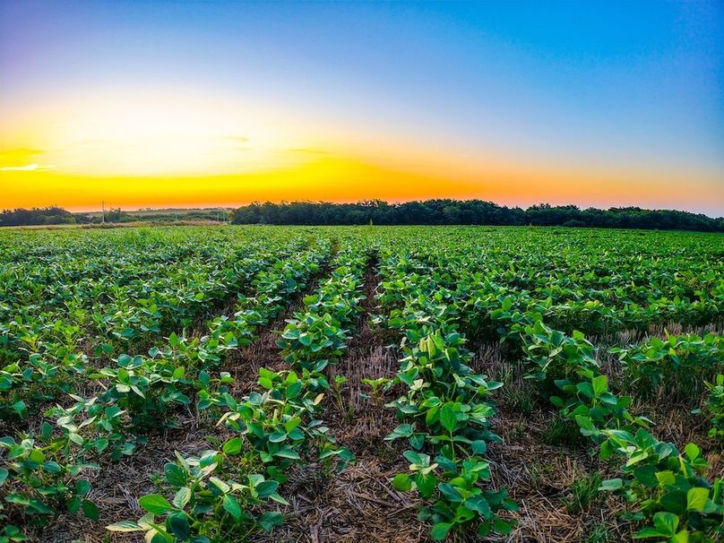 DJI_20250816063516_0668_D