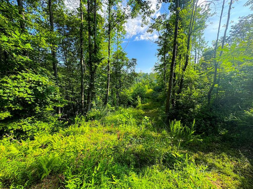 Lewis, WV 82.87 AC Barger-103