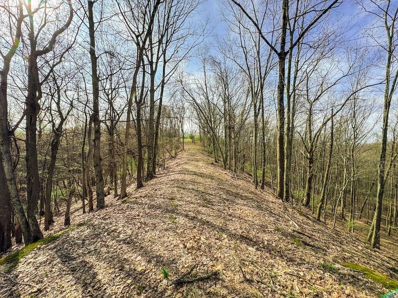 Ritchie, WV 206.08 AC Curriden-32
