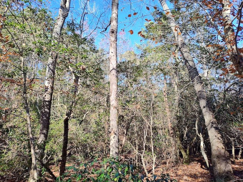 IMG_20251124_123505058_HDR