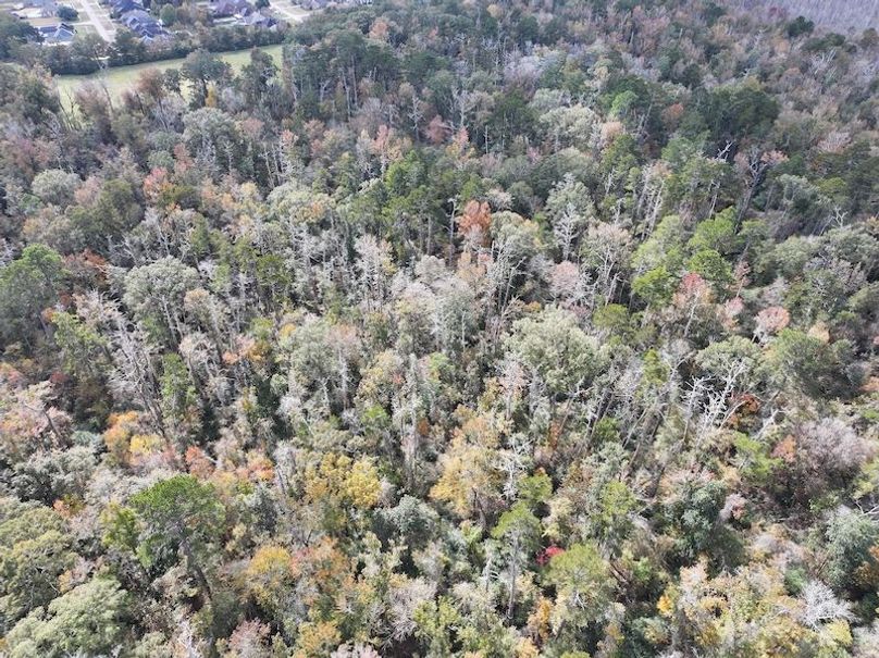 dji_fly_20251118_120848_0717_1763560723728_photo