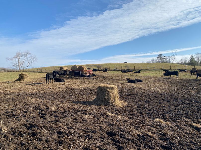 003 some of the residents enjoying a cool late November day copy