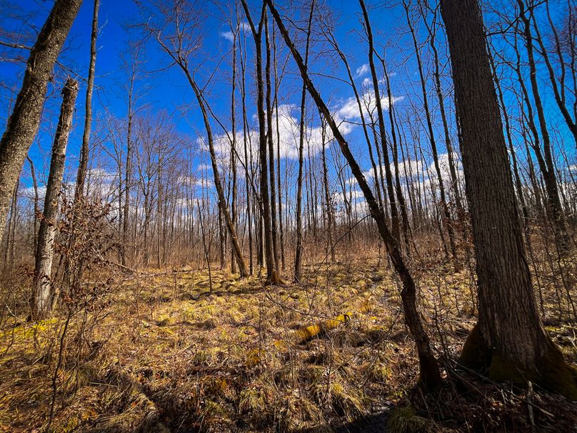 Oswego_165.52_Lashomb_Photos_44