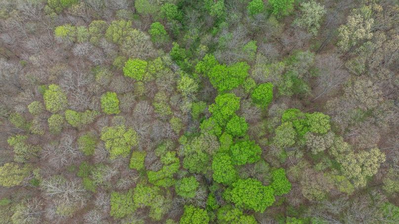 DJI_20260412170113_0012_D