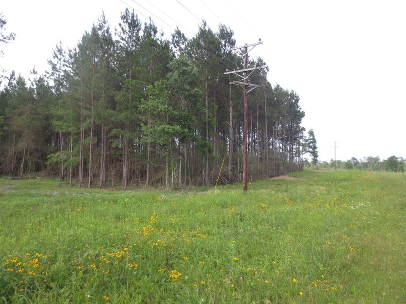 EBD57191-9AAA-4675-B4E3-071E602417C7_1_105_c