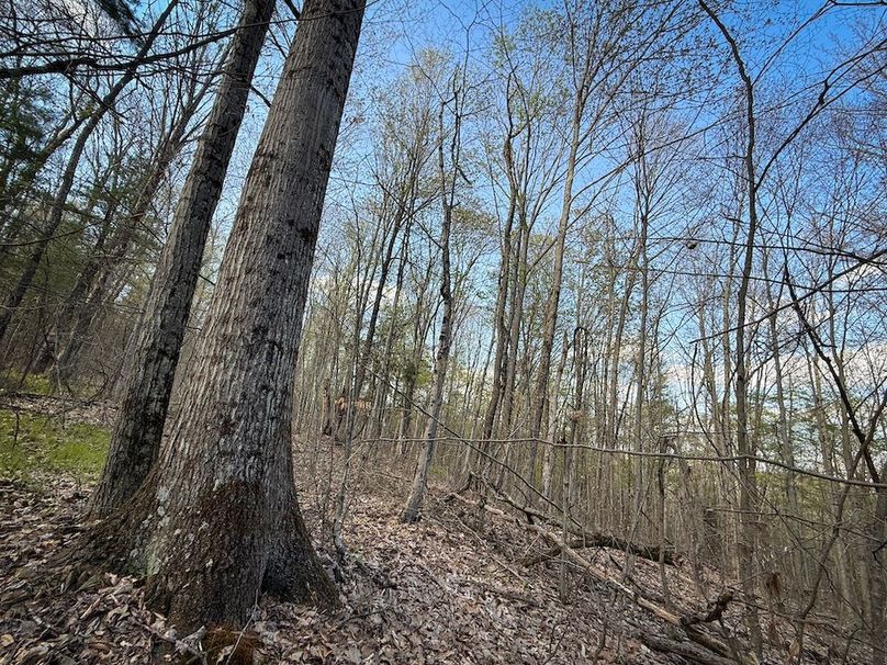 Chemung_59.8_Currier_photos_30