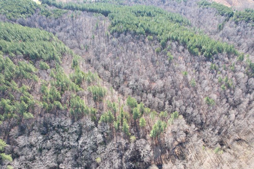 DJI_0289