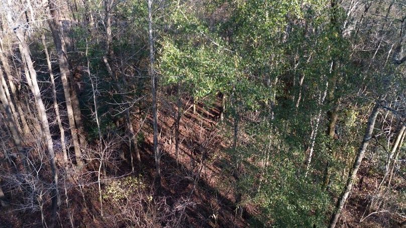 DJI_20251209145025_0012_D