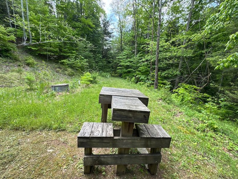 Pleasants, WV 168.59 AC Superior, Swank, Young-040