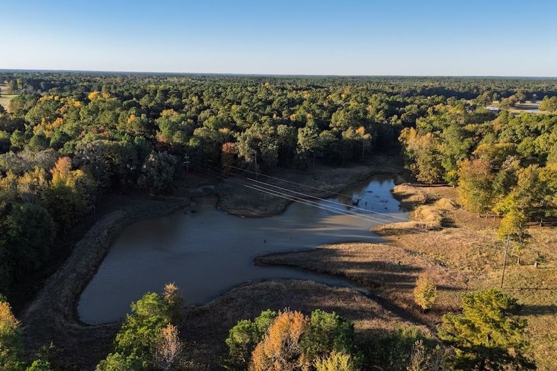 15 harrison 417ac pics-054