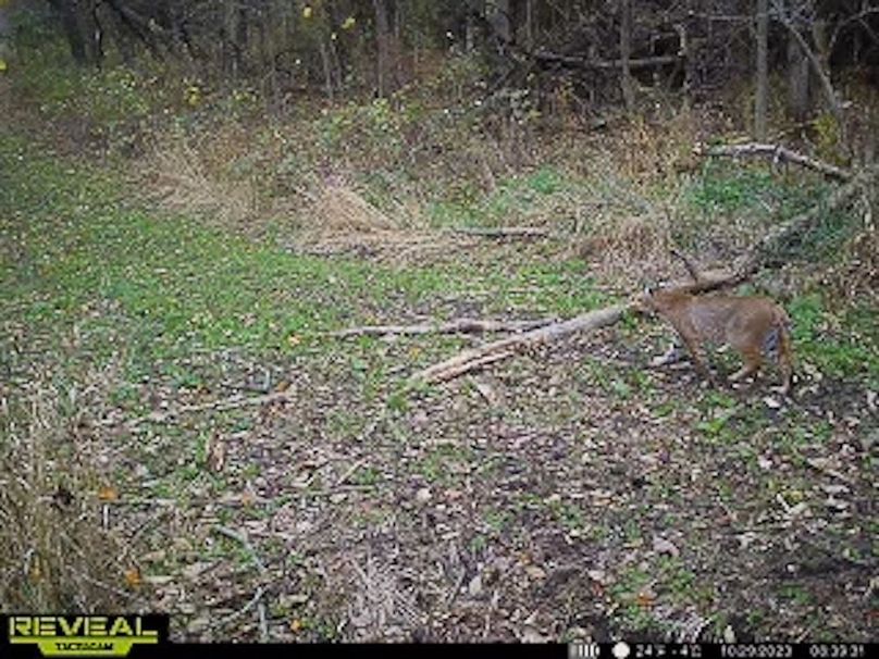 865509050473705-90-4-10292023084003-W1003529