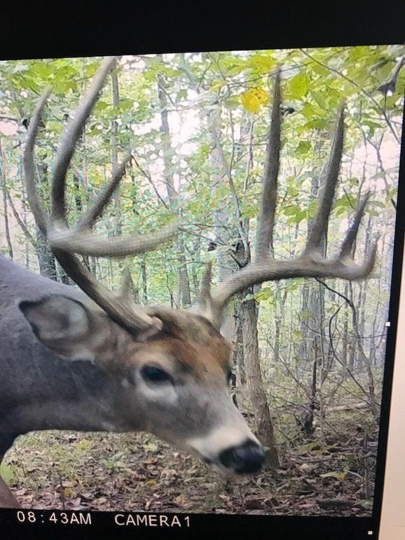 56221564469__D7BD9746-33AD-402E-B3D9-FE195E456C0C