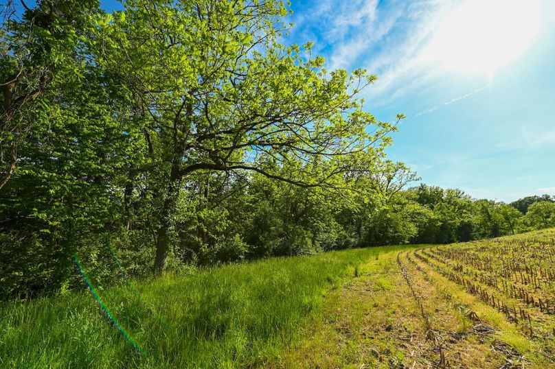 Copy of st clair 25 auction(1)