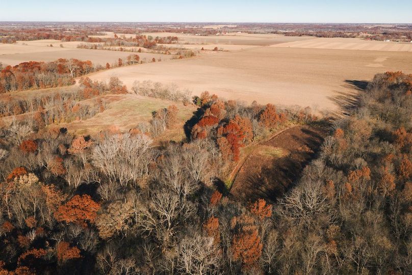 DJI_20251116084201_0131_D