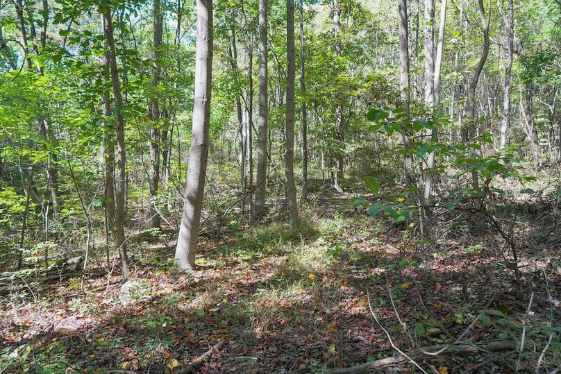 Fayette, 199, Hostetler-38