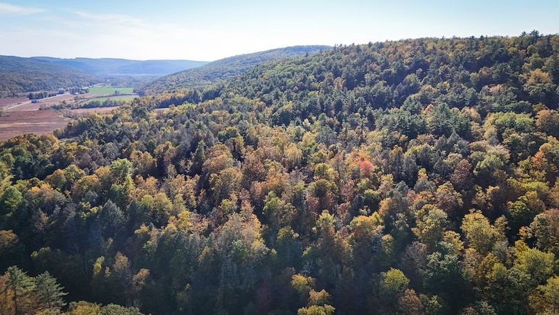 Tompkins NY 87 Allen Photos 35