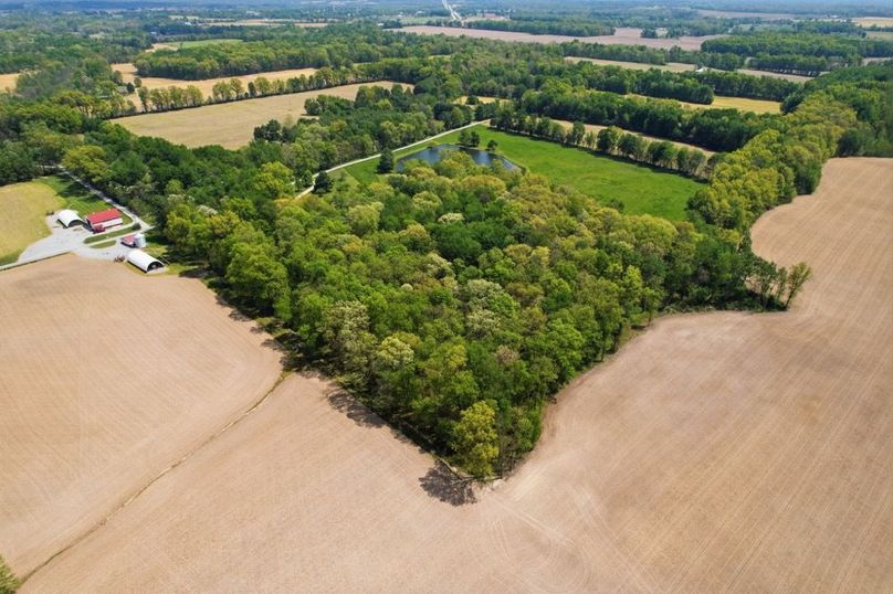 32-web-or-mls-DJI_0768