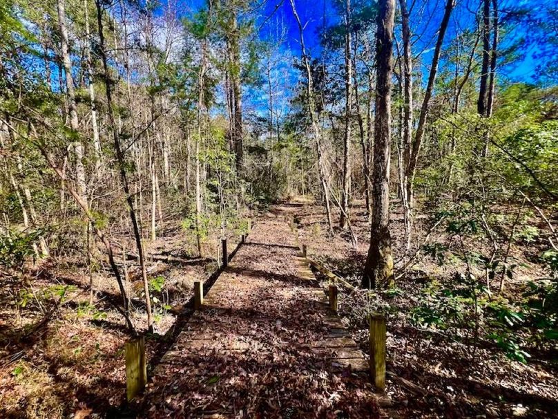 380F0232-A6D9-4E47-B916-8FB1393491F8_1_201_a