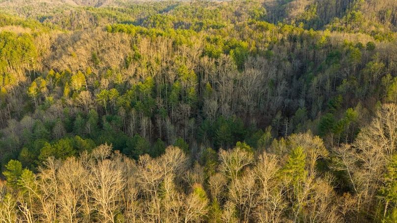 Sevier TN 77.63 Featured_Pro Photo-18