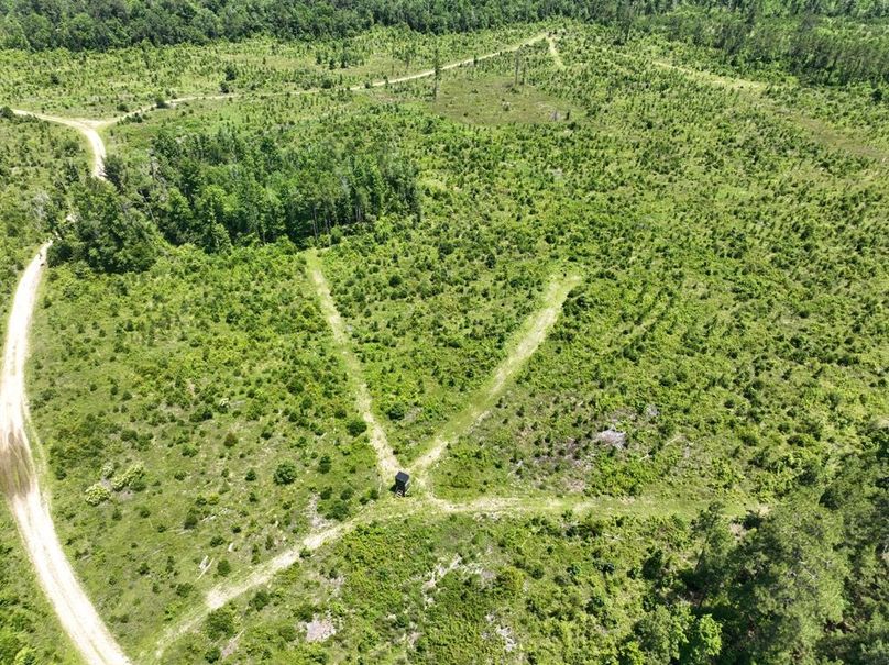 dji_fly_20250522_155952_207_1747959314425_photo