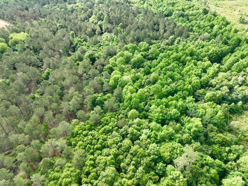 dji_fly_20260427_095034_600_1777299979035_photo