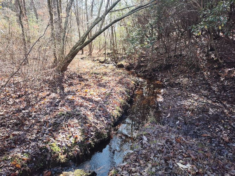 IMG_20251124_120513273