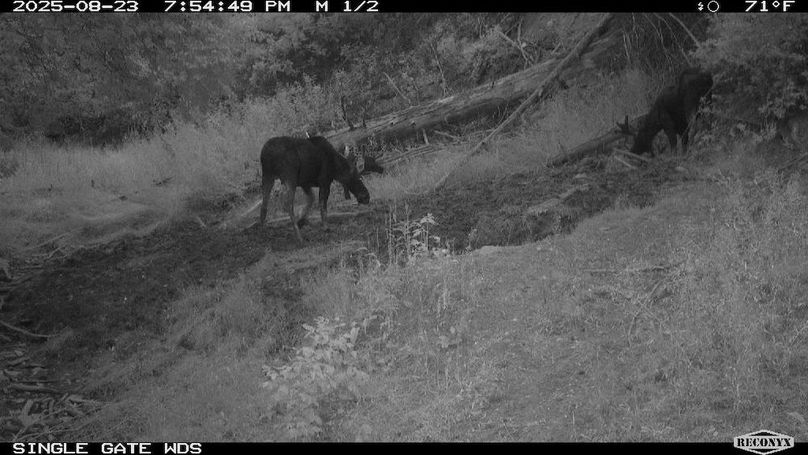 265960B0-603A-48AB-B6D8-0A738D3DA1F1