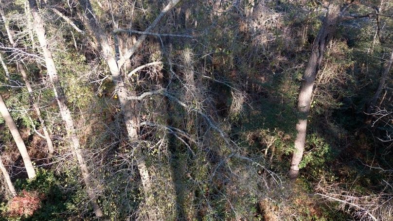 DJI_20251209145848_0021_D