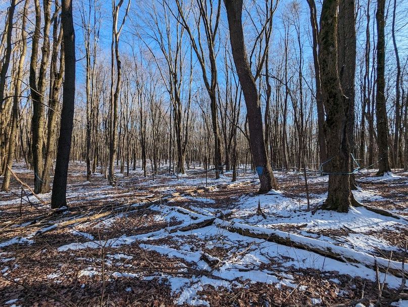 PXL_20240229_212225769