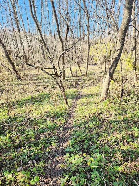 d726add2-2391-4618-8ef2-268aa8e6e8b0