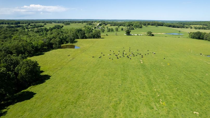 DJI_0067