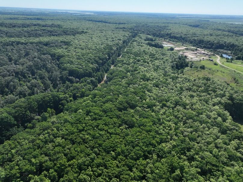 dji_fly_20260513_101848_429_1778687599828_photo