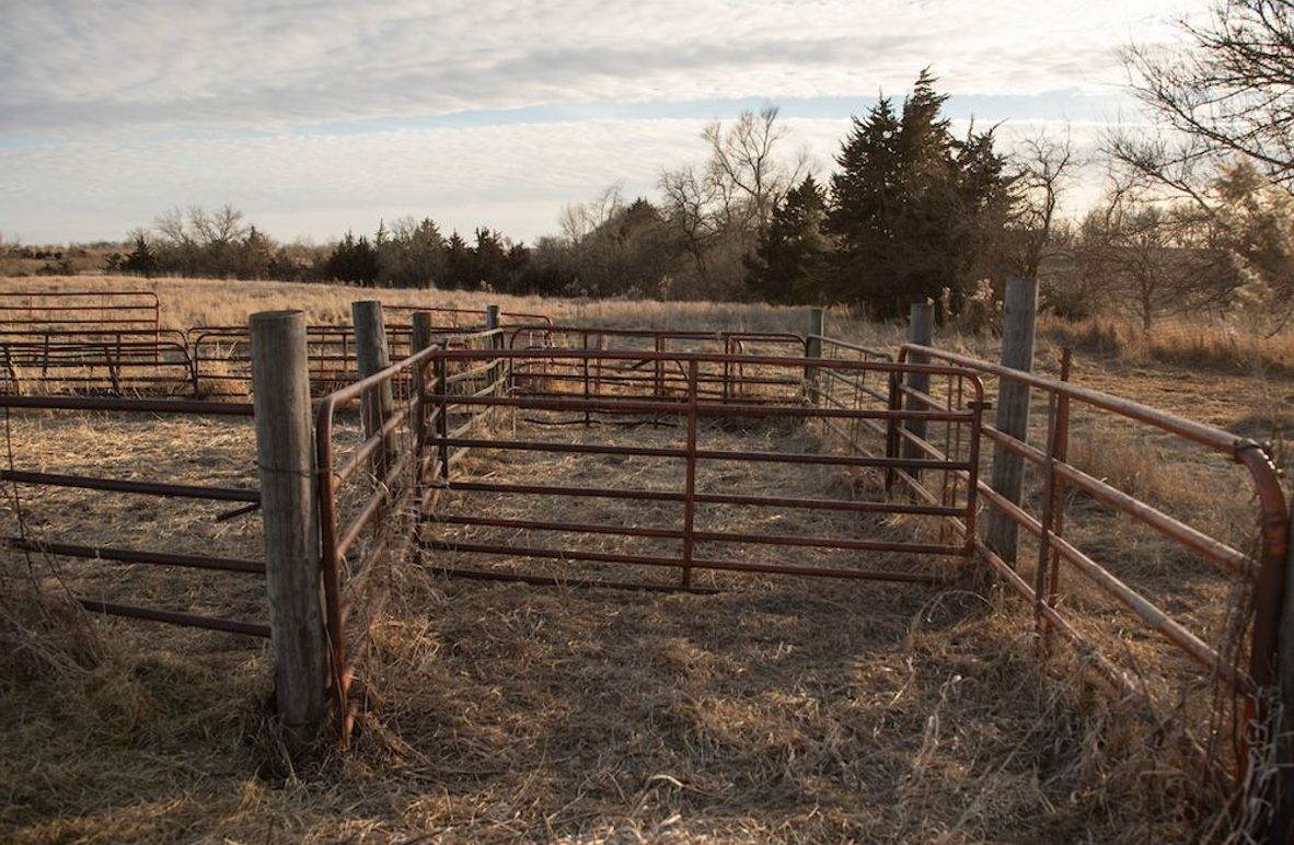 MONTGOMERY CO IA 156.78_4
