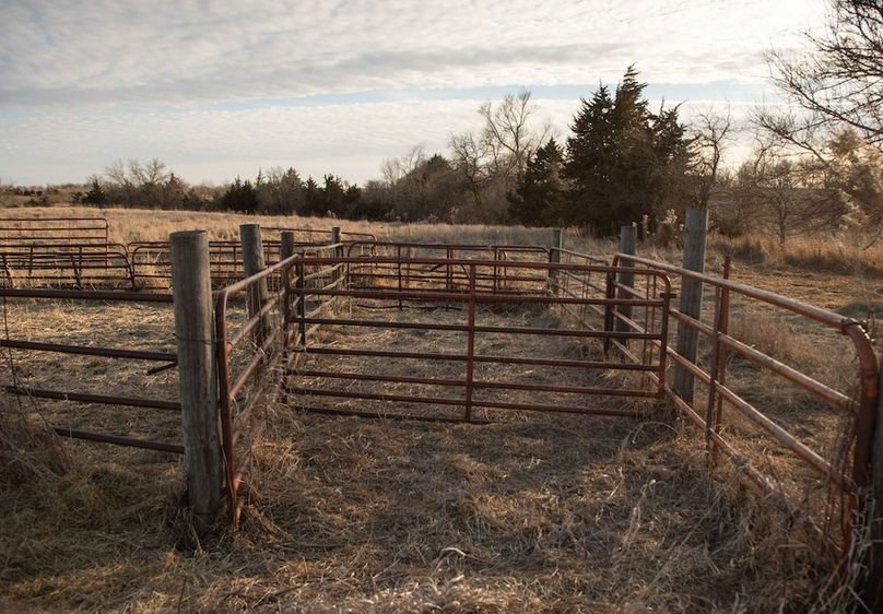 MONTGOMERY CO IA 156.78_4