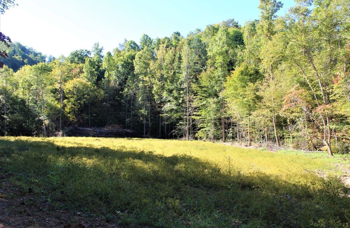001 the open flat area at the entrance of the property