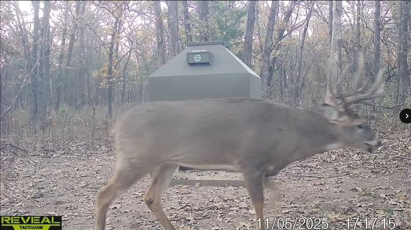 Screenshot_24-1-2026_82521_drive.google.com