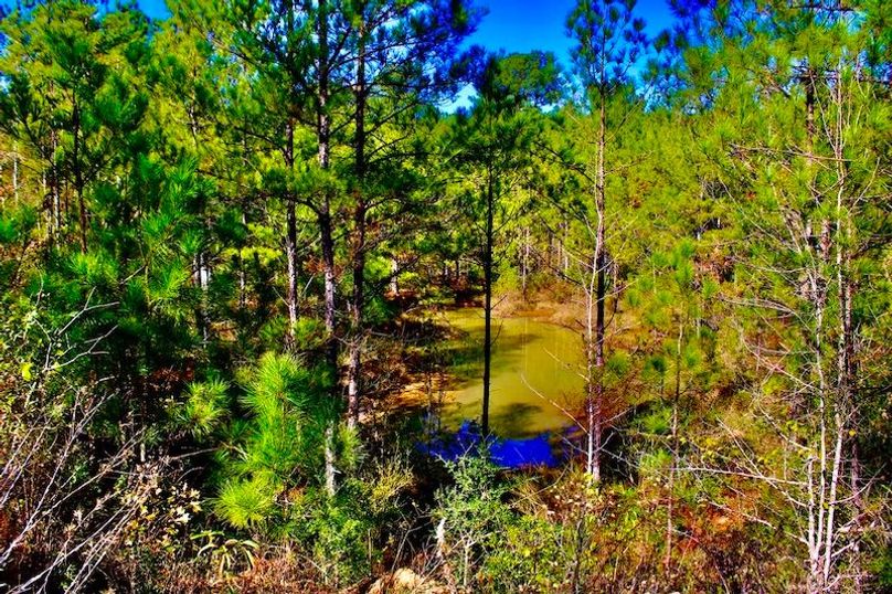 392A9660-306D-4CC3-86DC-2676CAF79E06_1_105_c