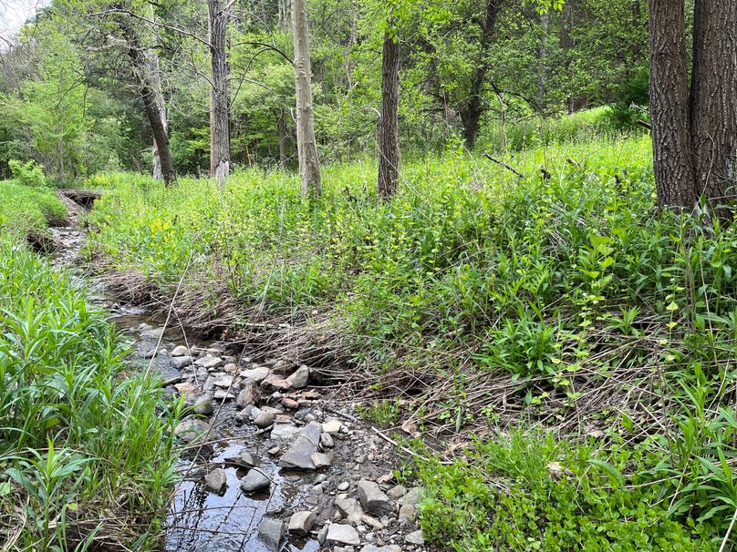 Tioga_18.72_Coulson Photo 31