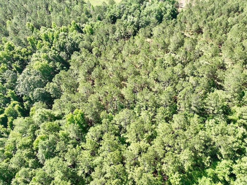 dji_fly_20260514_103102_698_1778769334314_photo