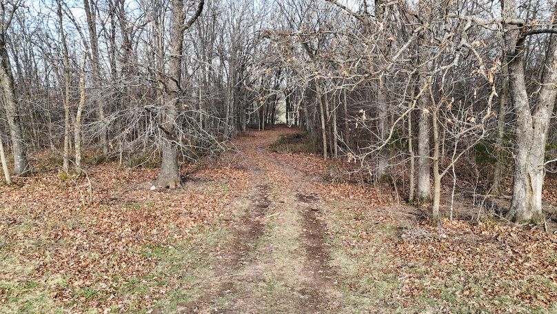 DJI_20251204035020_0030_D