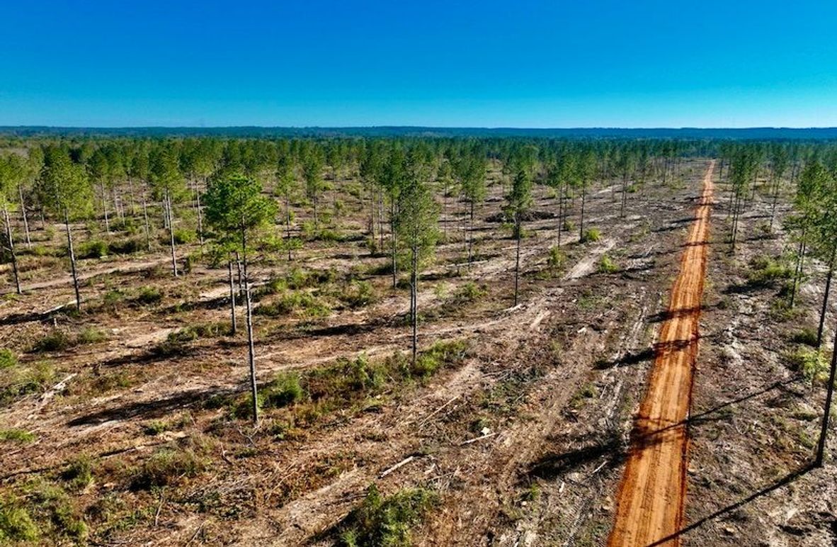 2A5ED2B8-E701-4BA7-AE9F-9BF255309CAF_1_201_a