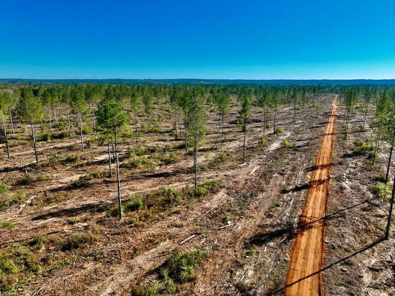 2A5ED2B8-E701-4BA7-AE9F-9BF255309CAF_1_201_a