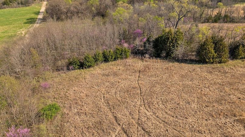 DJI_0103