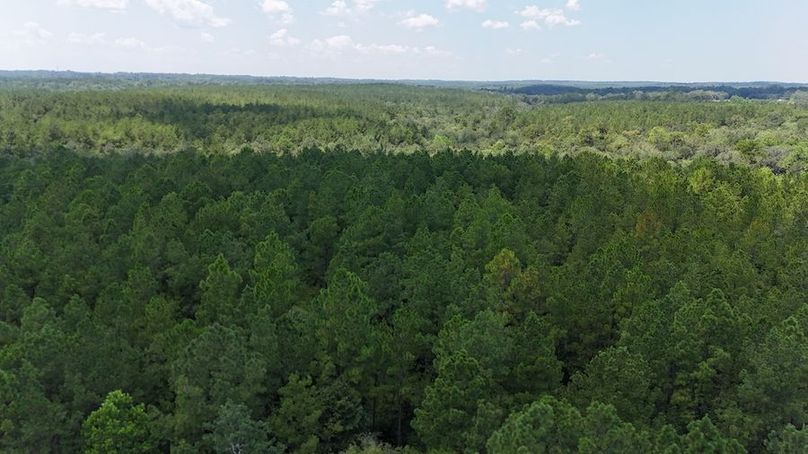 DJI_20240812131554_0017_D