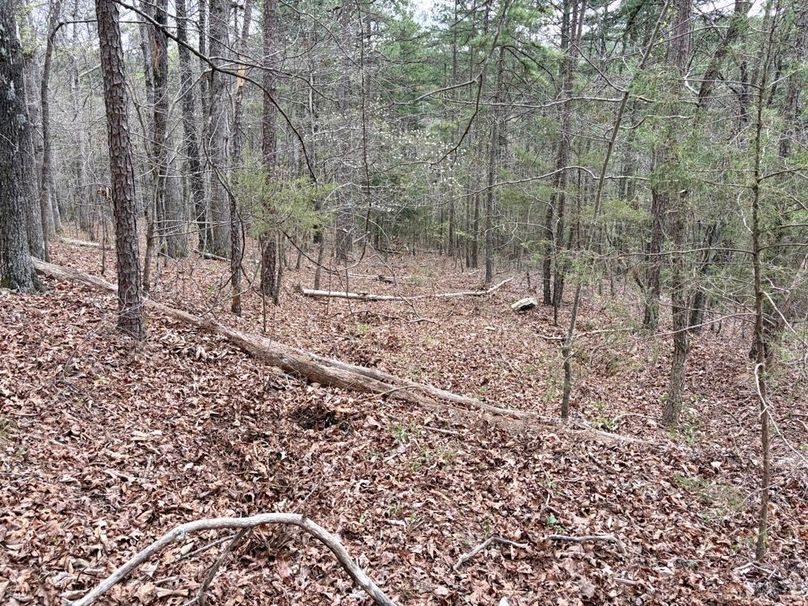 DB8BB75D-99B3-4EFC-B727-F82300EA6A55_1_201_a