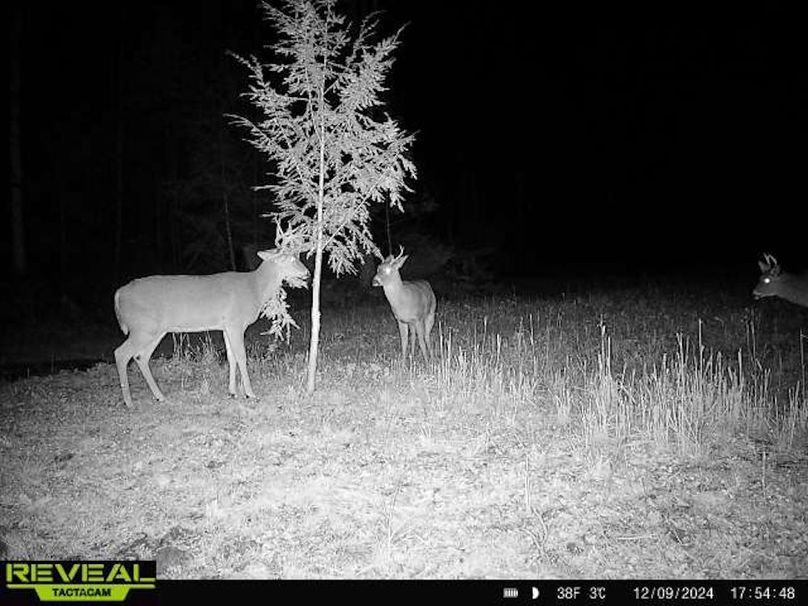 865814048724973-90-3-12092024175448-W1011712