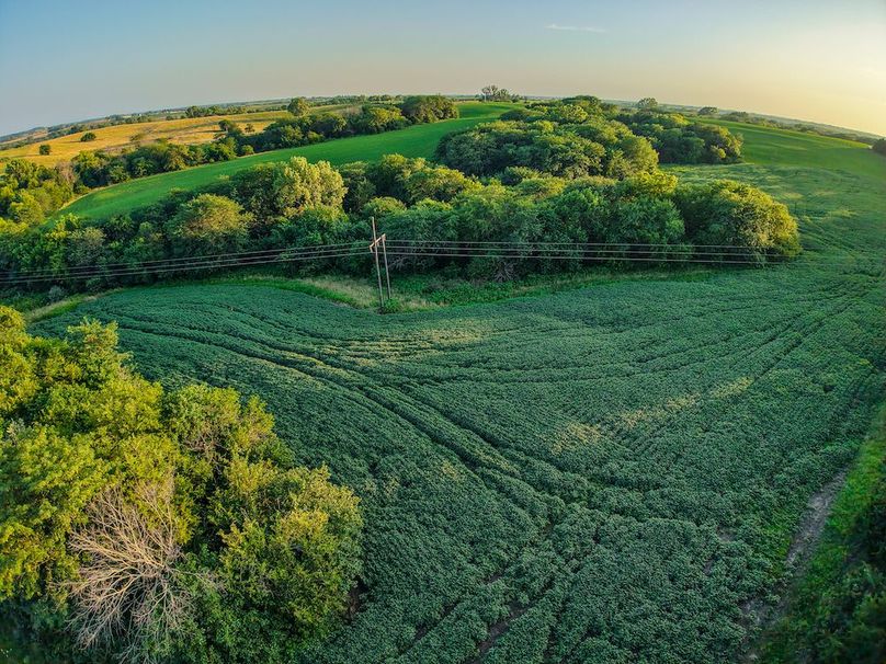 DJI_20250723195519_0388_D